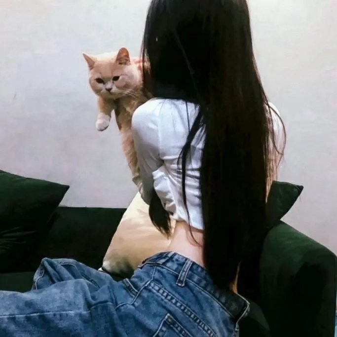 我和寻回犬的十个约定